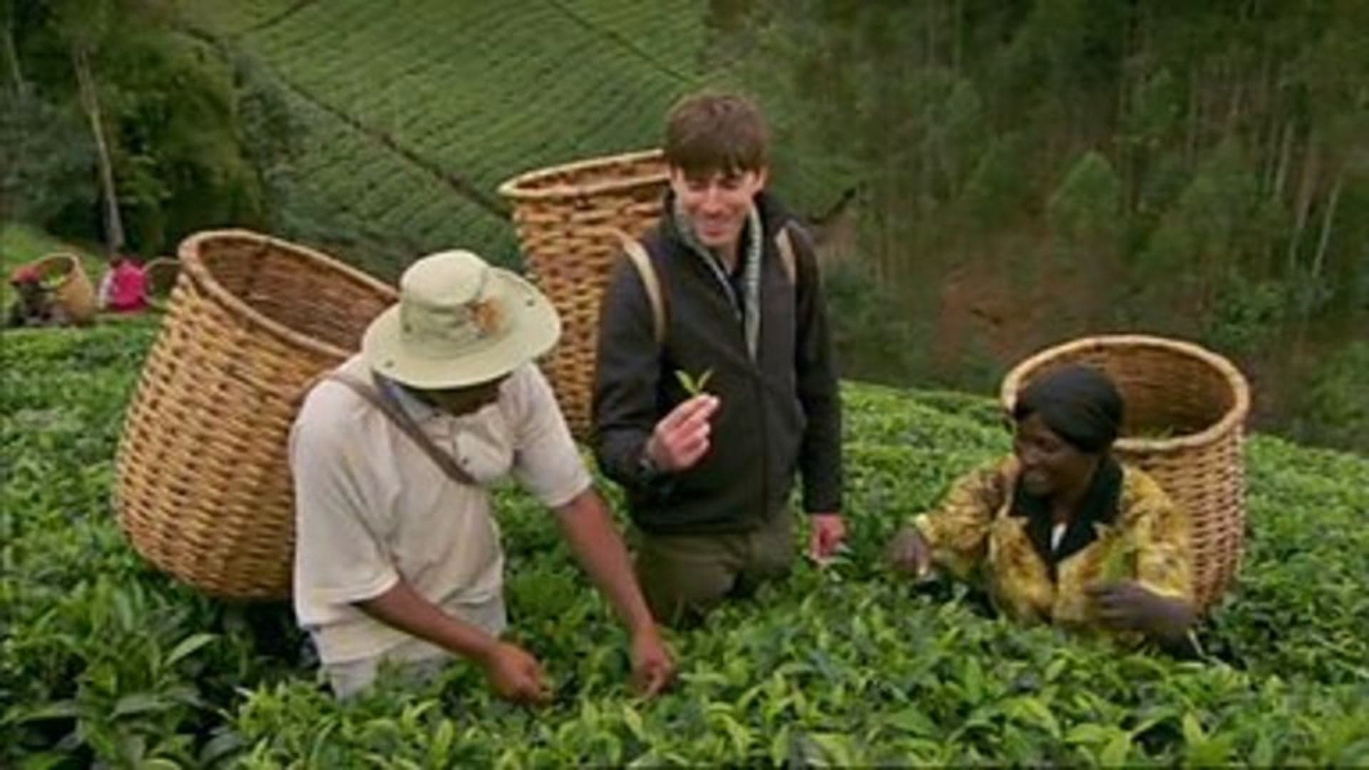 The Tea Trail with Simon Reeve production still placeholder