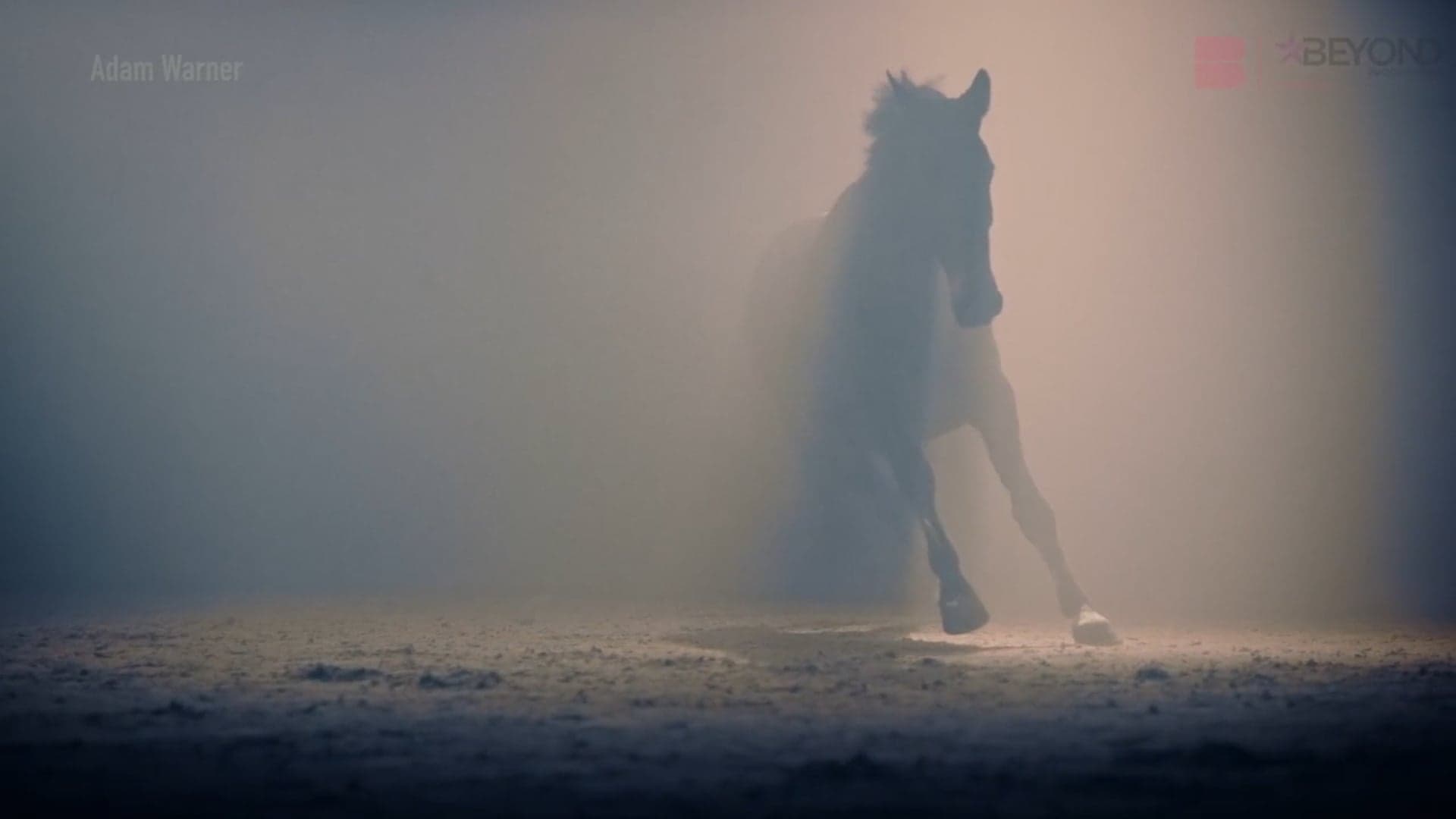 La Barbie 4 production still placeholder